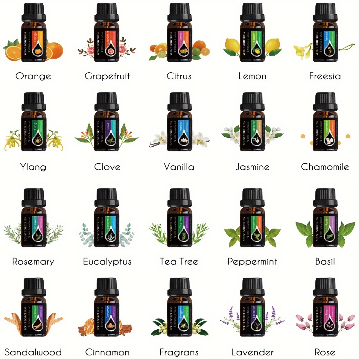 20pcs/set Essential Oil Set La - Perfume Fragrance Oil review and price